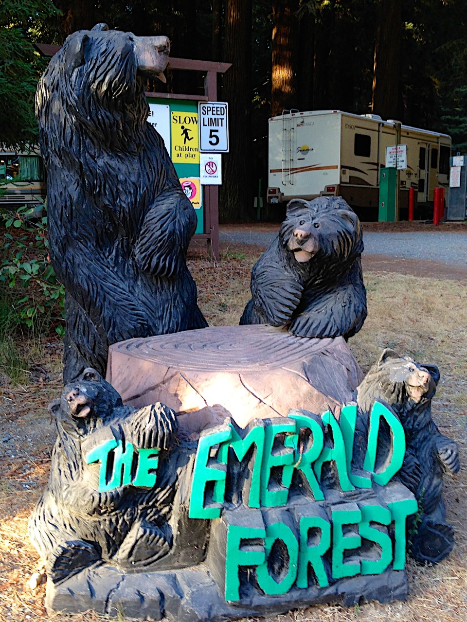 140810-The Emerald Forest RV Park